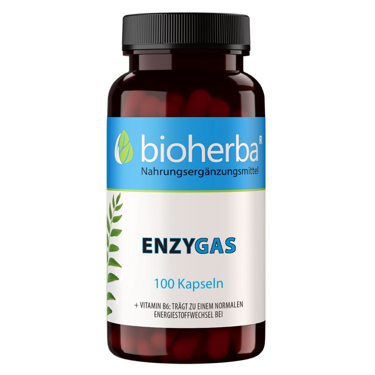 Braune Flasche mit schwarzen Deckel. Aufschrift: bioherba, Enzygas, 100 Kapseln. Enthält Vitamin B6.