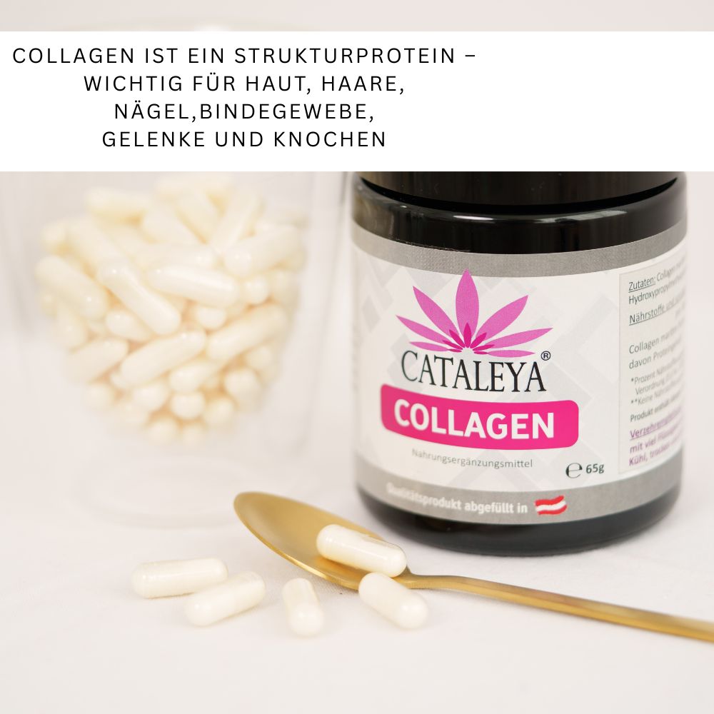 Dose und Kapseln auf goldenem Löffel. Text: CATALEYA COLLAGEN, Nahrungsergänzungsmittel. Kapseln in Beutel.