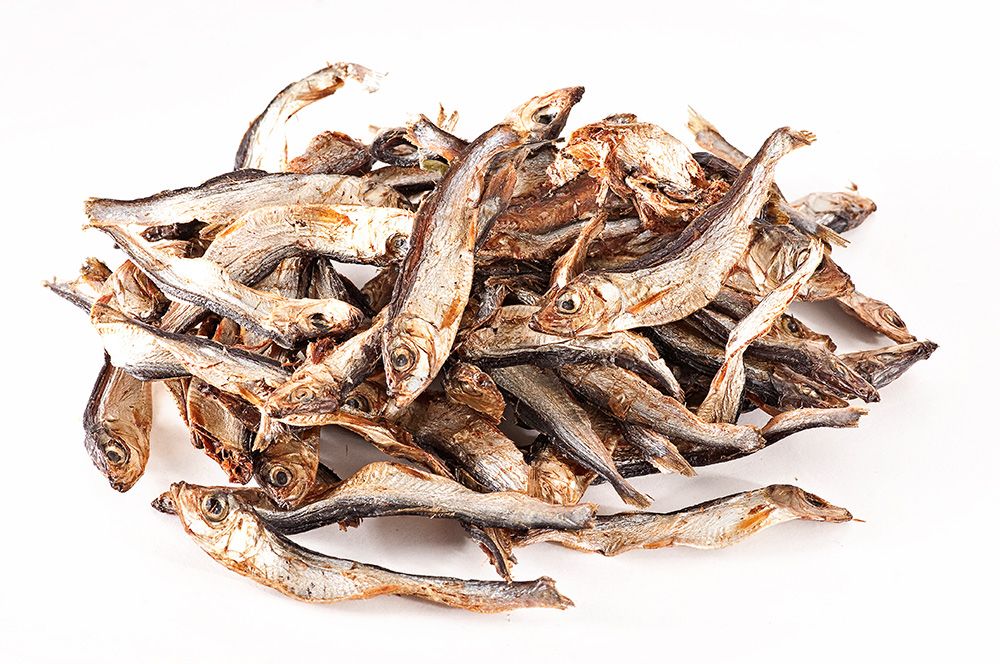 mascota vital - Trockenfisch Sprotten