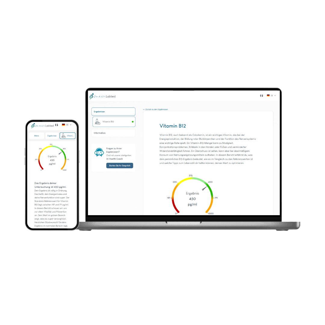 Meinlabtest Vitamin B12 (Bluttest)