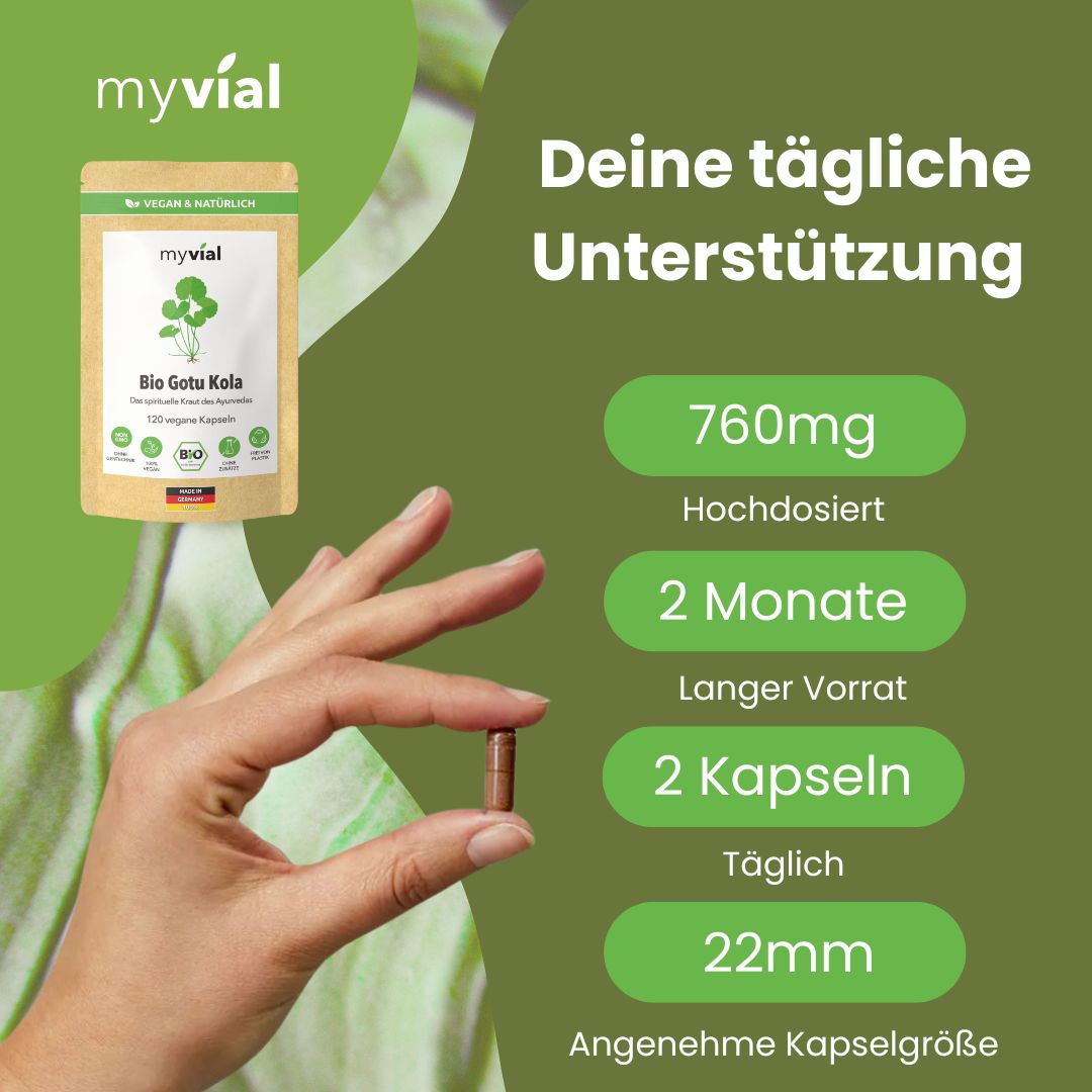 myvial® Bio Gotu Kola Kapseln - 120 Stück Centella asiatica (Tigergras, Brahmi) - vegan