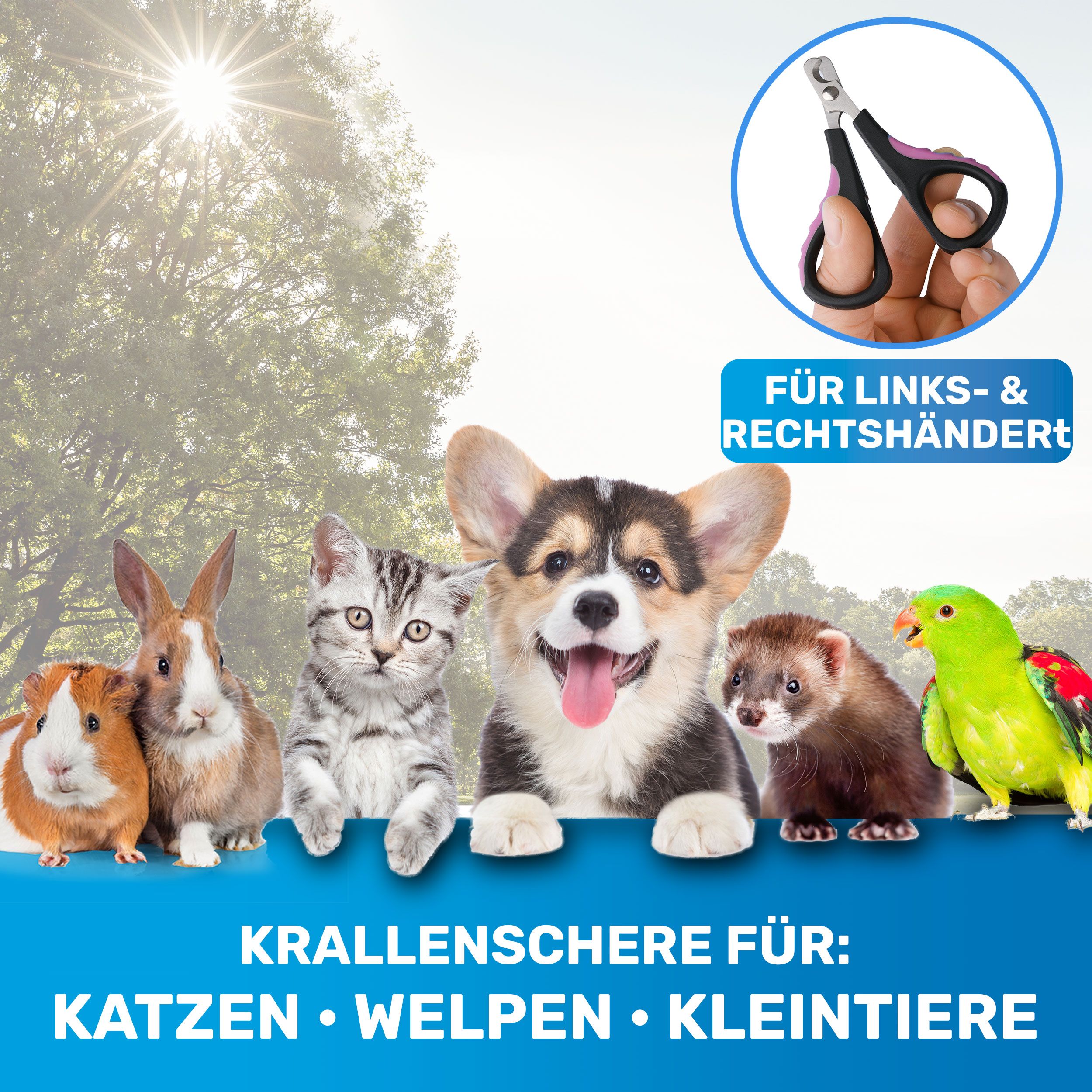 Krallenschere für Katzen, Welpen & Kleintiere. Abgebildet sind verschiedene Tiere. Text: Für Links- & Rechtshänder.