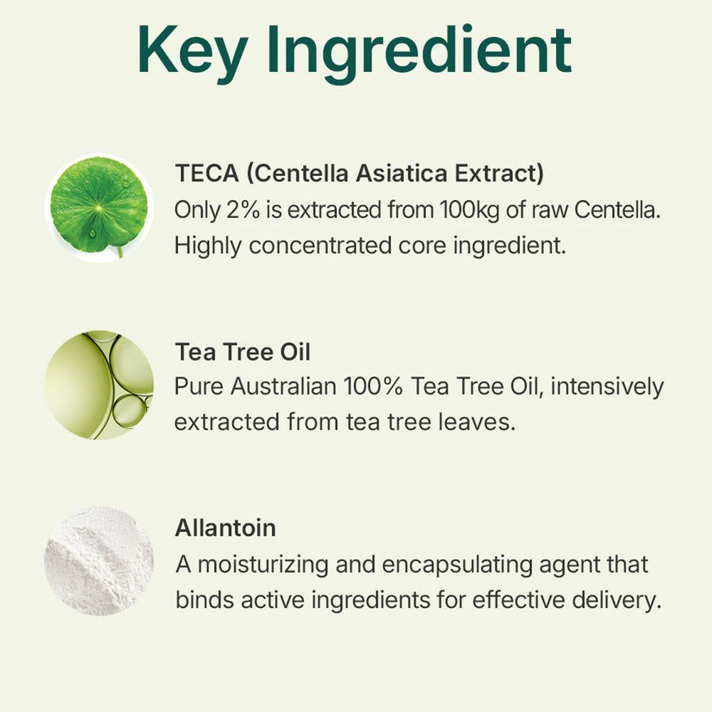 Grafik mit drei Schlüsselzutaten: TECA (Centella Asiatica Extrakt), Teebaumöl und Allantoin, mit kurzen Beschreibungen.