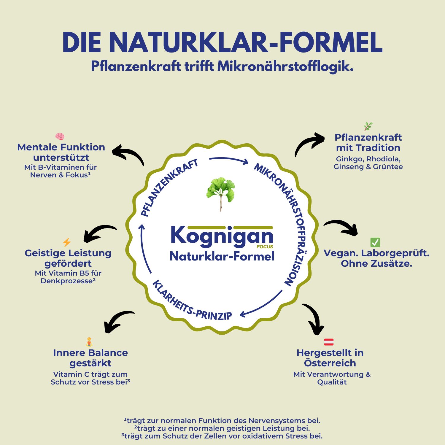 Kognigan Fokus - für Gehirn, Konzentration und Gedächtnis - mit Pflanzenextrakten & Vitaminen