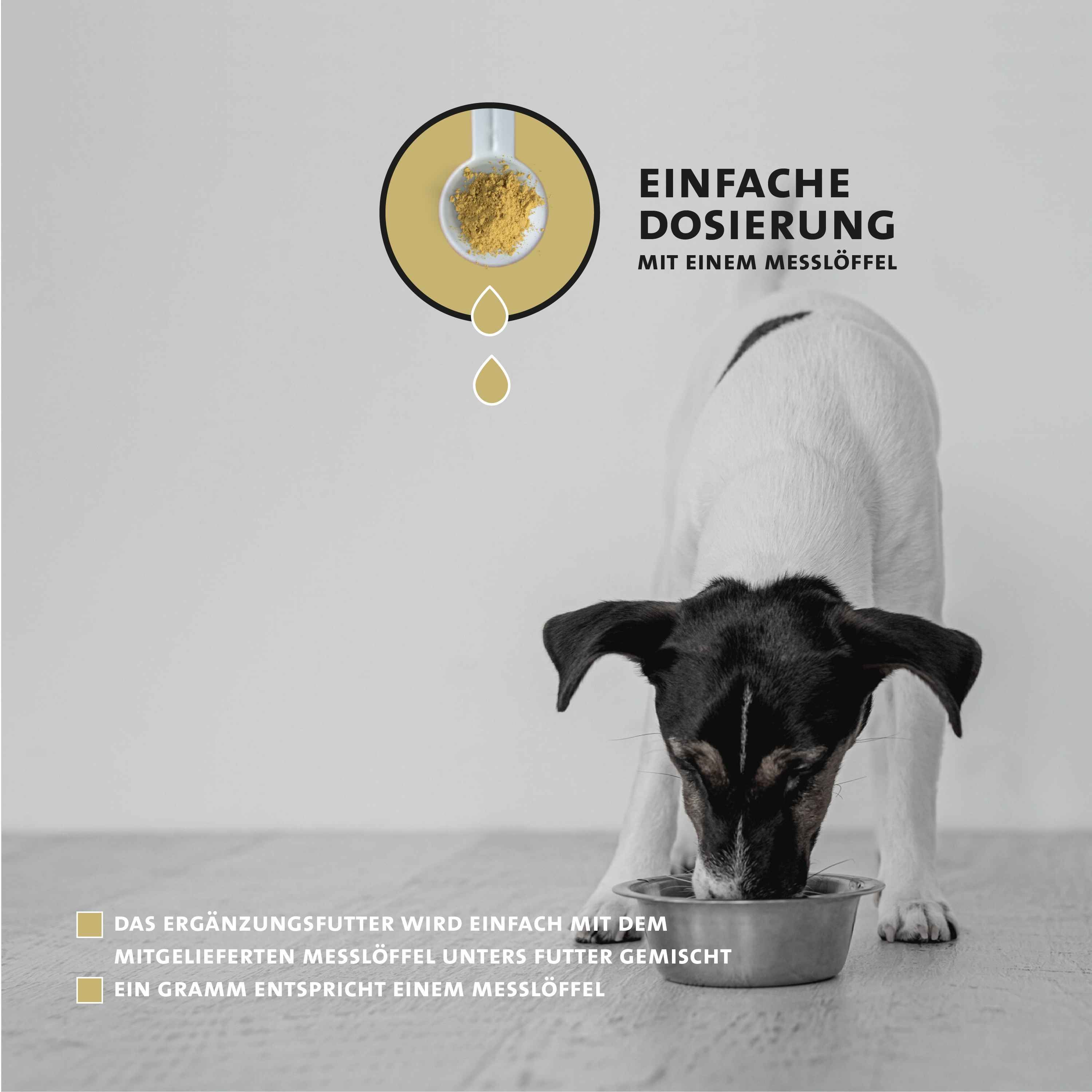 Peticare Natürliches Ergänzungsfutter für Herz & Kreislauf Pulver für Hunde