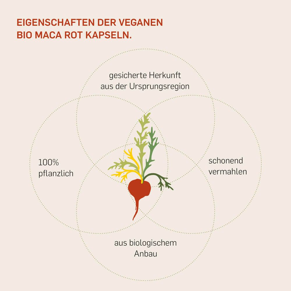 Kurkraft© Bio Maca Rot 240 St Presslinge