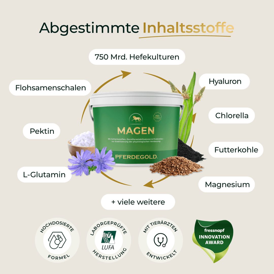 Pferdegold Magen