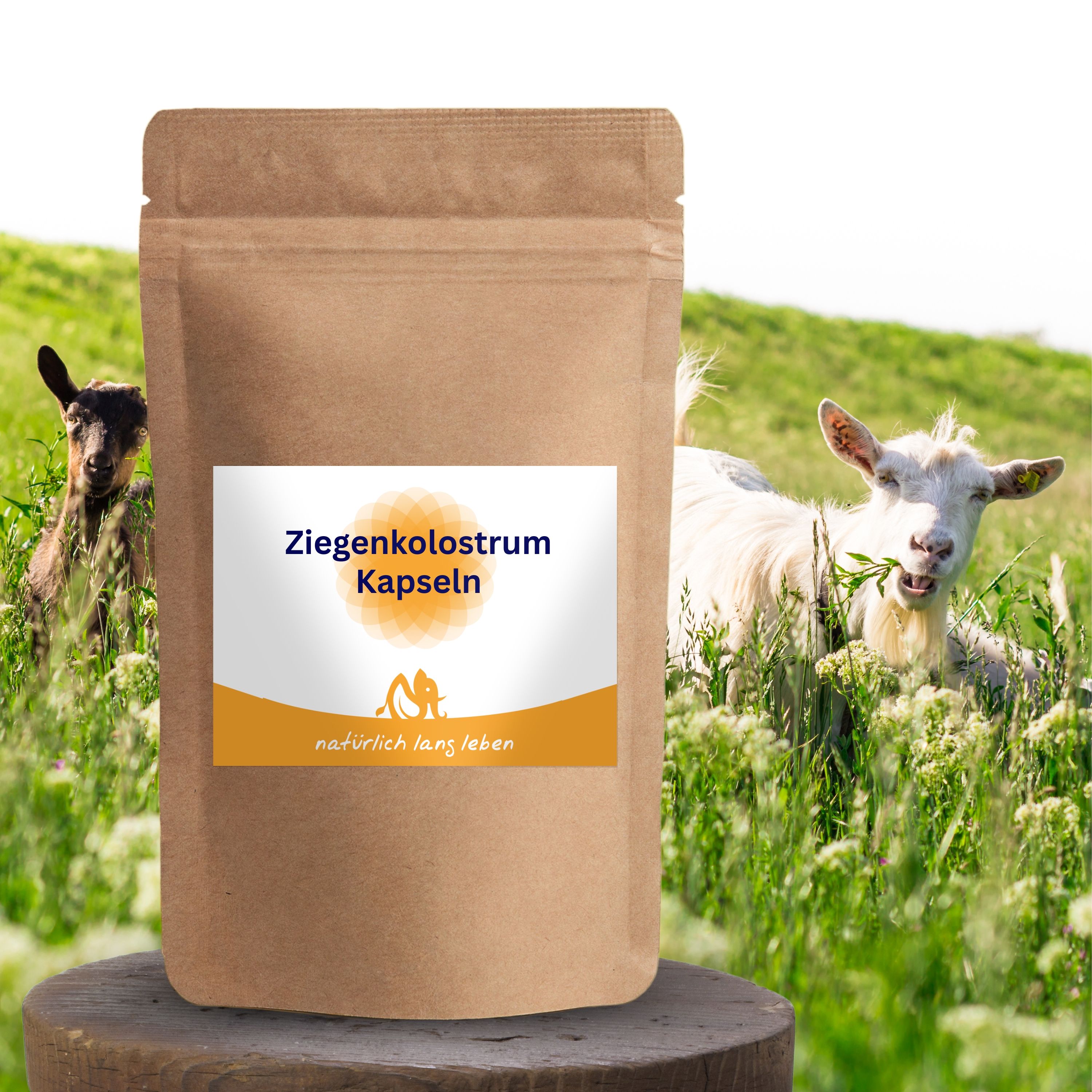 Braune Tüte mit weißem Etikett. Aufschrift: Ziegenkolostrum Kapseln. Logo und Schriftzug: natürlich lang leben. Ziegen auf Wiese.