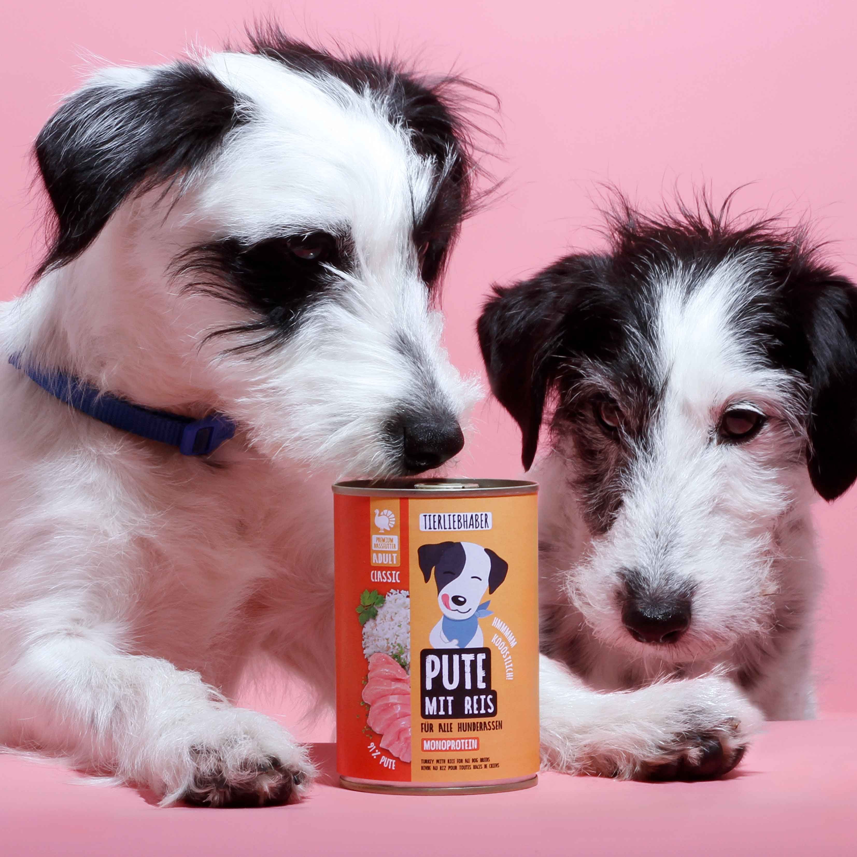 Hundefutterdose mit Aufschrift Pute mit Reis. Daneben zwei Hunde auf pinkem Untergrund.