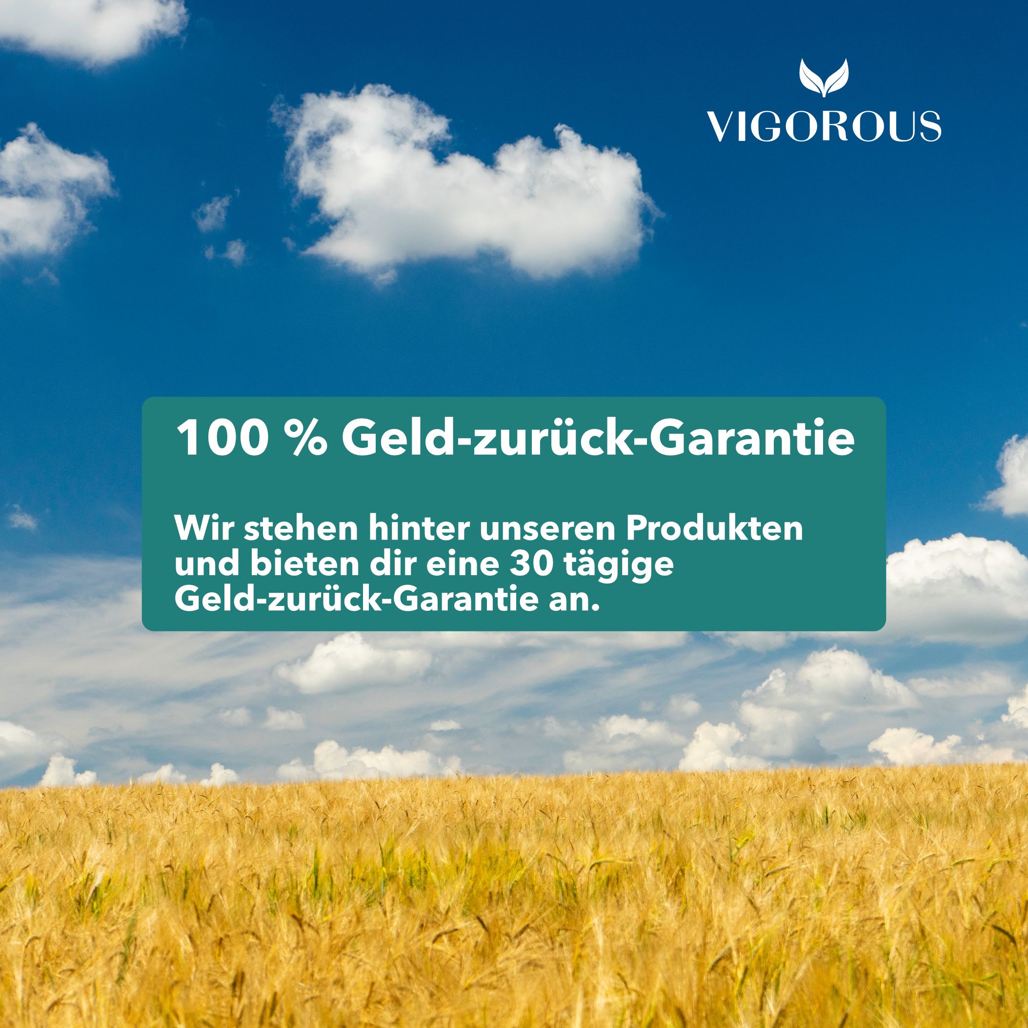 Feld mit Himmel. Aufschrift: VIGOROUS, 100 % Geld-zurück-Garantie. Wir stehen hinter unseren Produkten und bieten dir eine 30-tägige Geld-zurück-Garantie an.