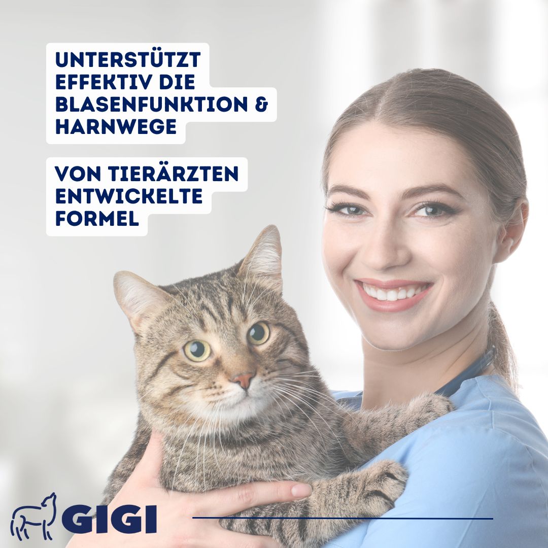 Tierärztin mit Katze im Arm. Text: Unterstützt Blasenfunktion & Harnwege. Von Tierärzten entwickelte Formel. Marke: GIGI.