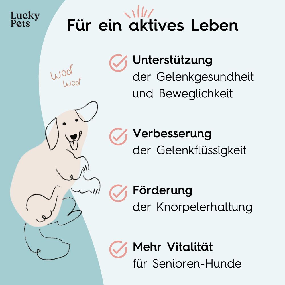 Illustration eines Hundes. Text: Für ein aktives Leben. Unterstützung der Gelenkgesundheit und Beweglichkeit. Verbesserung der Gelenkflüssigkeit.
