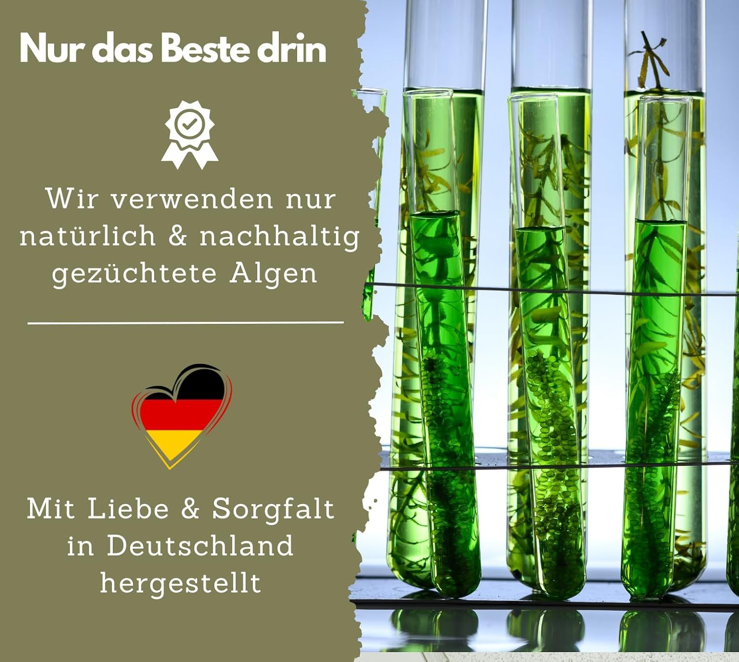 Grafik: Algen in Reagenzgläsern. Text: Wir verwenden nur natürlich & nachhaltig gezüchtete Algen. Mit Liebe & Sorgfalt in Deutschland hergestellt.