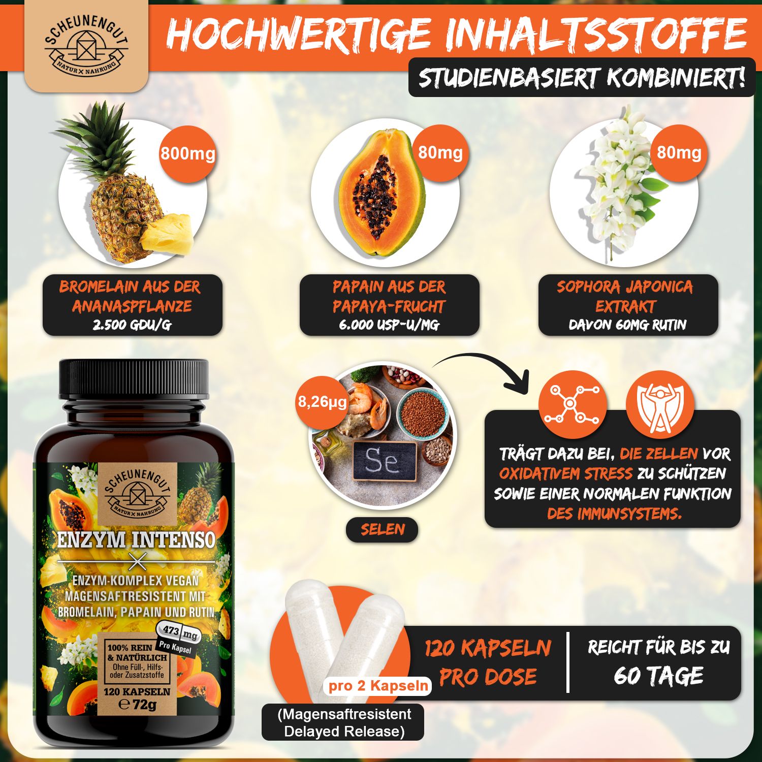 Scheunengut® Enzym Intenso | Bromelain & Papain Komplex 120 St Kapseln