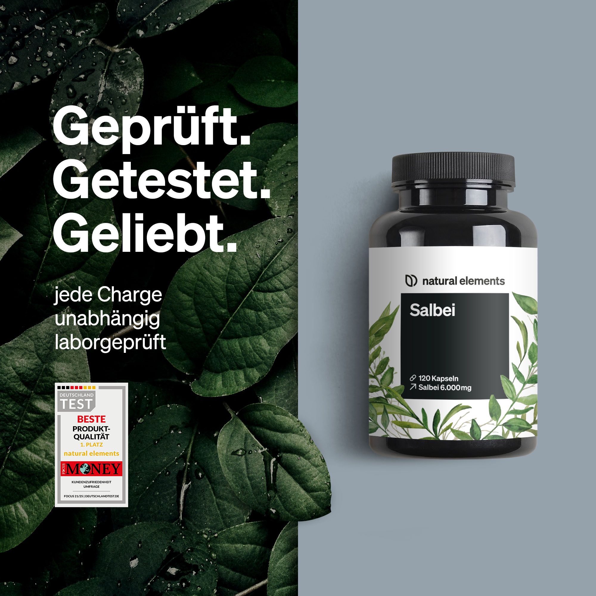 natural elements Salbei – 120 Kapseln – 6000mg pro Tagesdosis – Salbei Extrakt 10:1