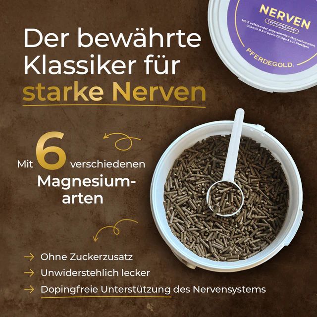 Pferdegold Nerven Futterpellets in einem Eimer mit Schaufel.