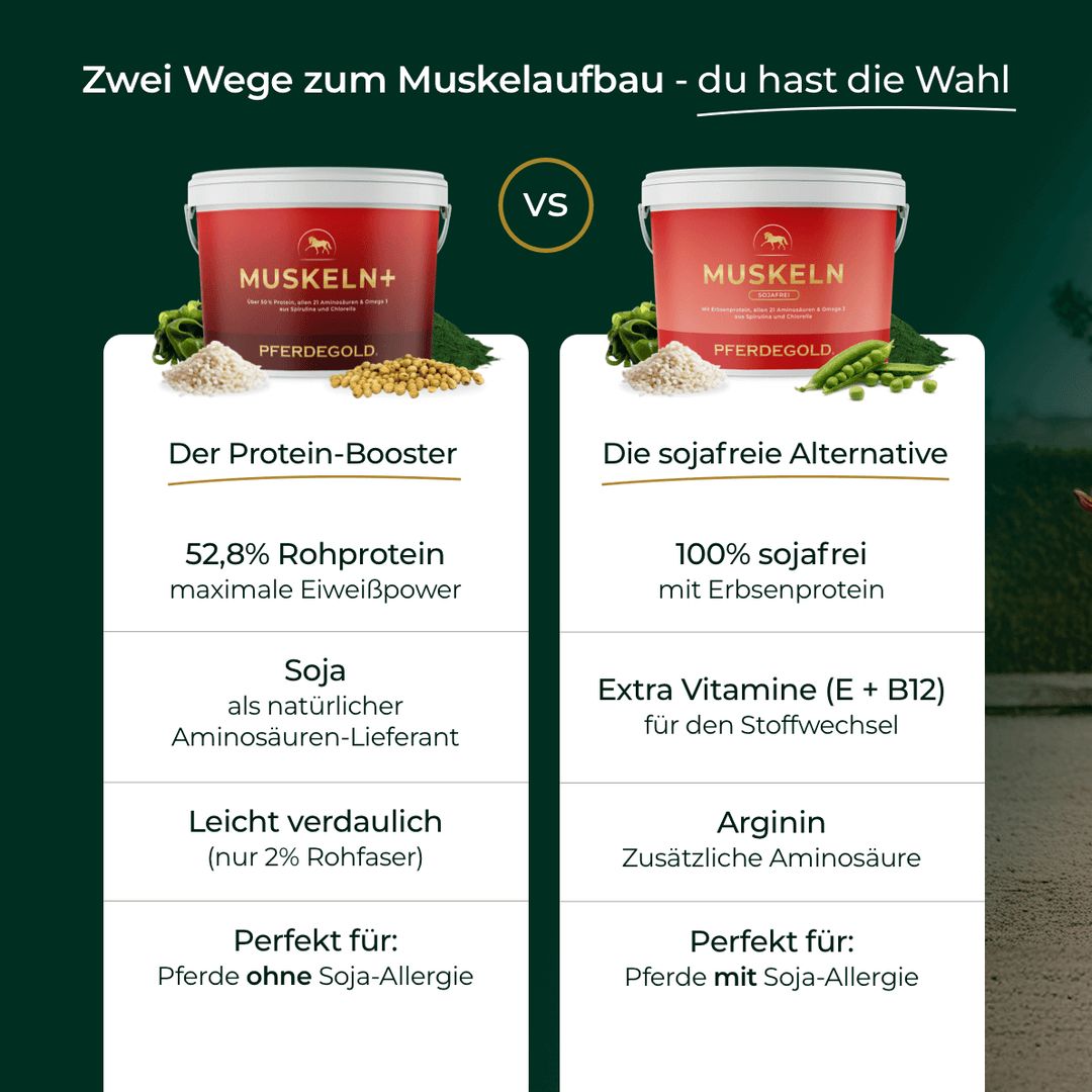 Pferdegold Muskeln+