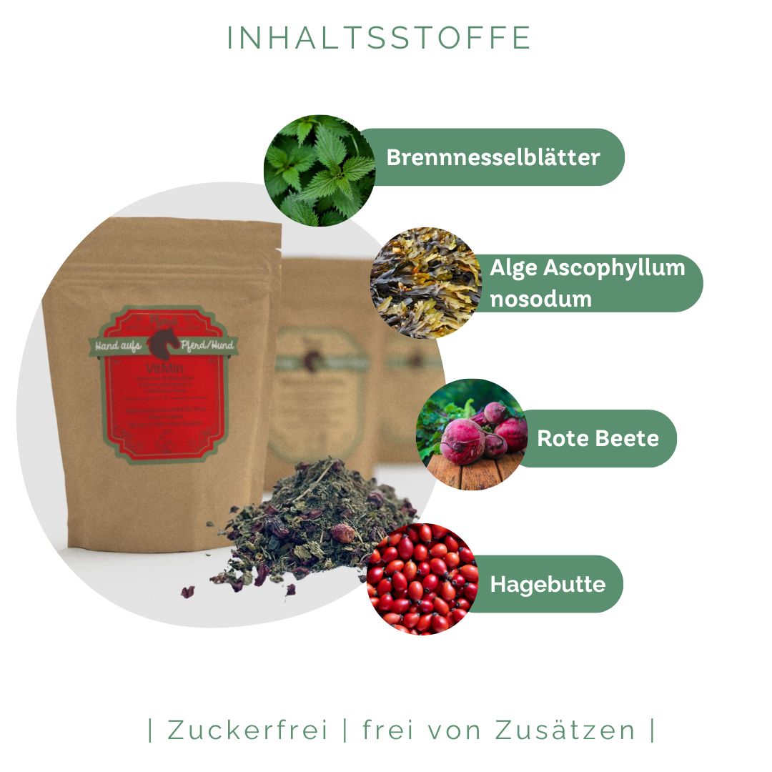 Beutel mit Produktetikett und Kräutern. Kreise zeigen Zutaten: Brennnesselblätter, Alge, Rote Beete, Hagebutte. Text: Zuckerfrei.