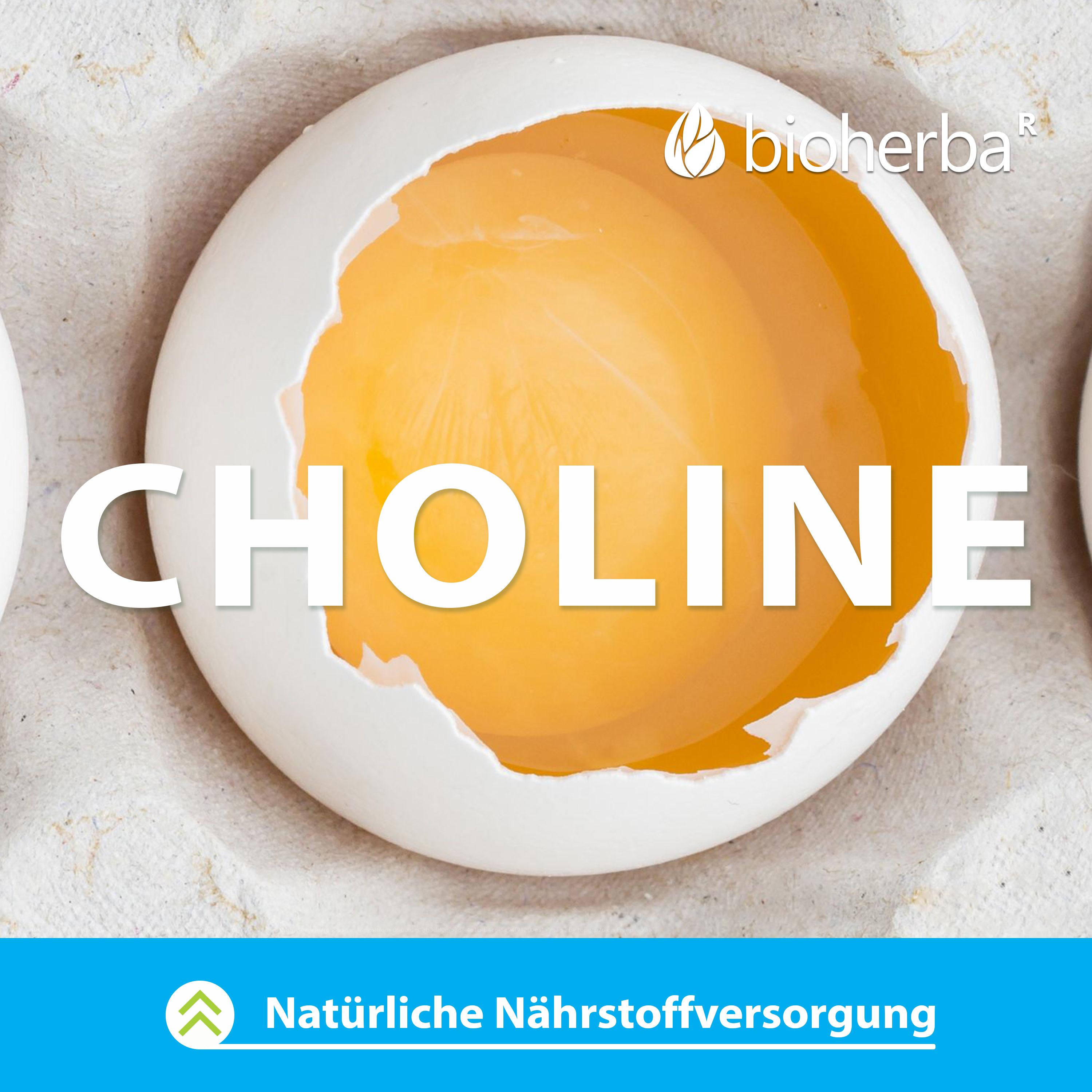 Ei mit Eigelb. Text: Cholin. Text: Natürliche Nährstoffversorgung.