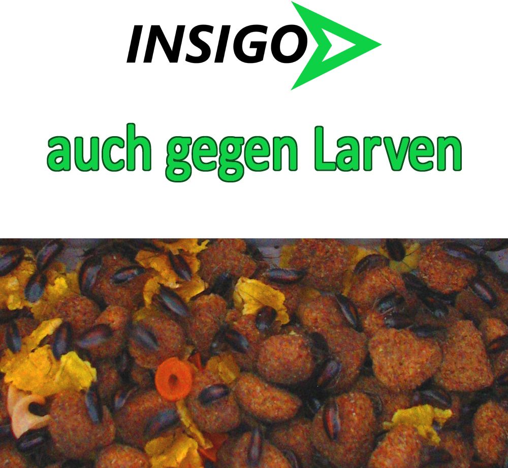 INSIGO Milbenspray mit 5L Drucksprüher