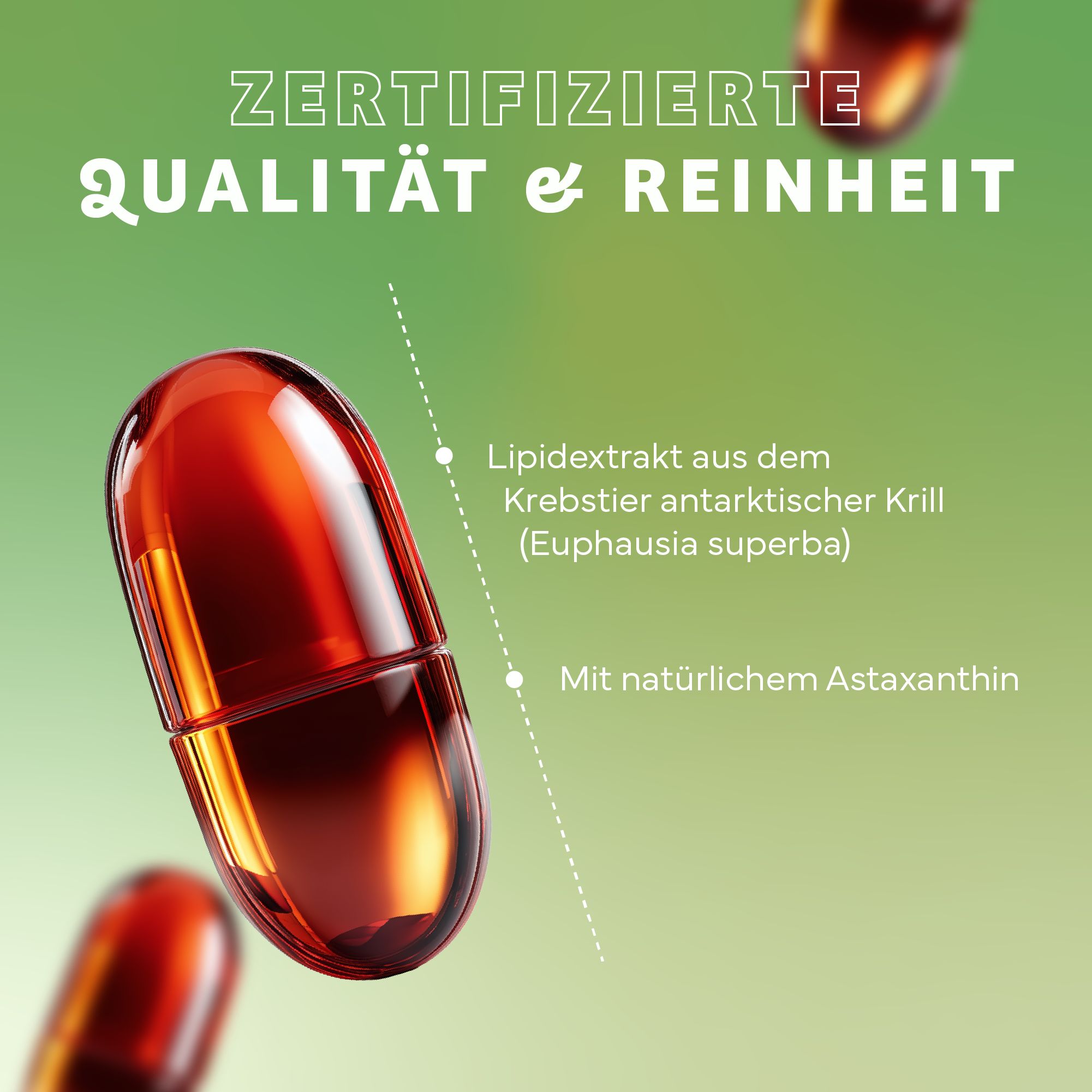 Nahaufnahme einer roten Kapsel. Text: Lipidextrakt aus antarktischem Krill. Mit natürlichem Astaxanthin. Zertifizierte Qualität & Reinheit.