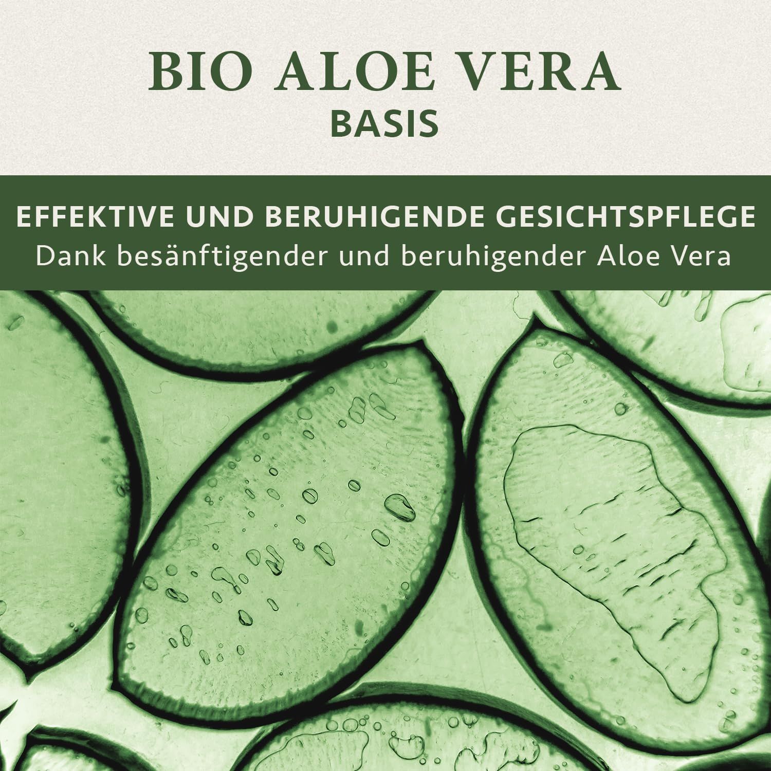 Nahaufnahme von Aloe Vera Blättern. Text: Bio Aloe Vera Basis. Effektive und beruhigende Gesichtspflege. Dank besänftigender und beruhigender Aloe Vera.