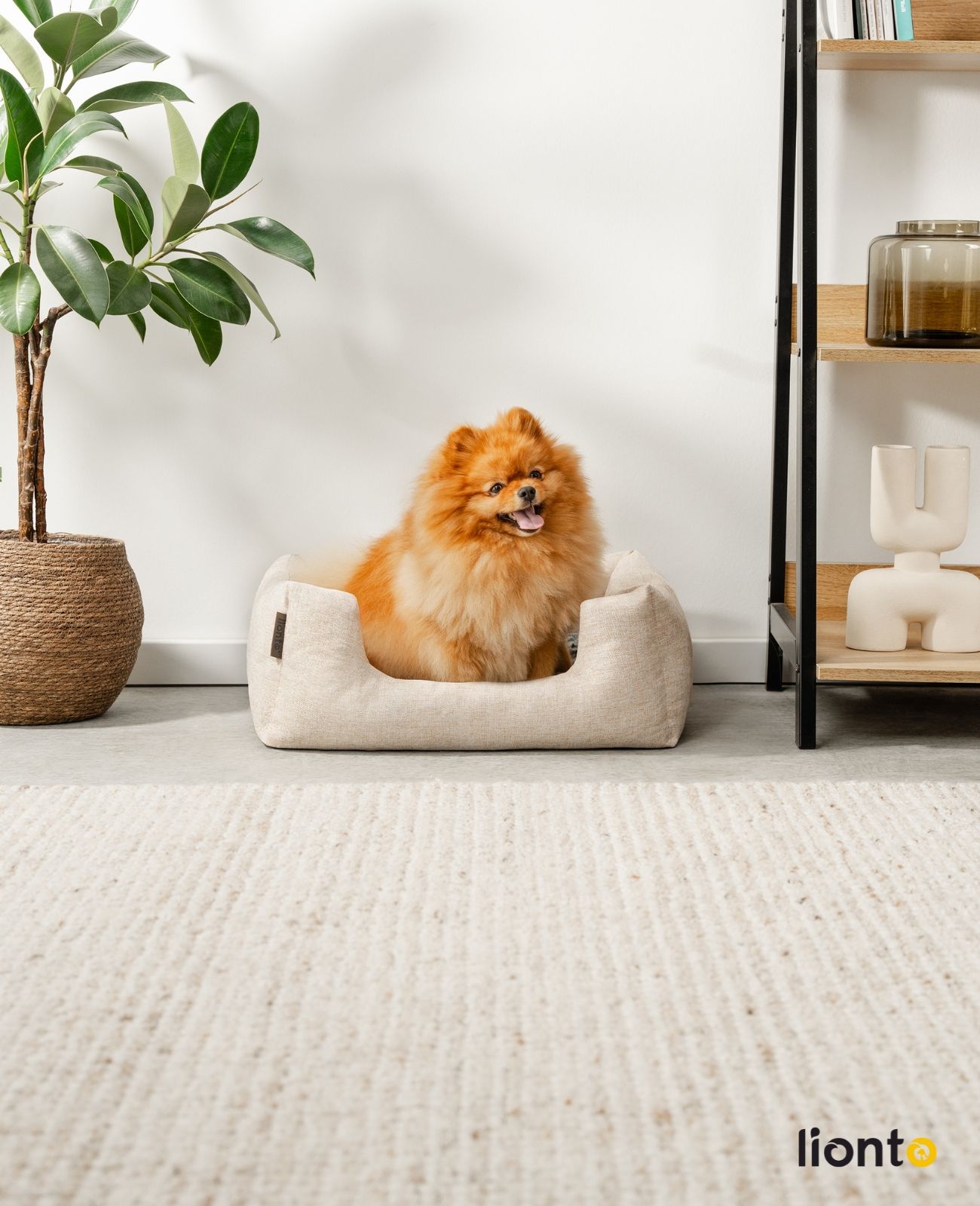 lionto Hundebett mit Wendekissen