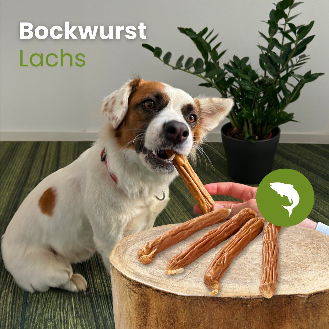 Hundefutter: Bockwurst Lachs, einzeln und von einem Hund gefressen.