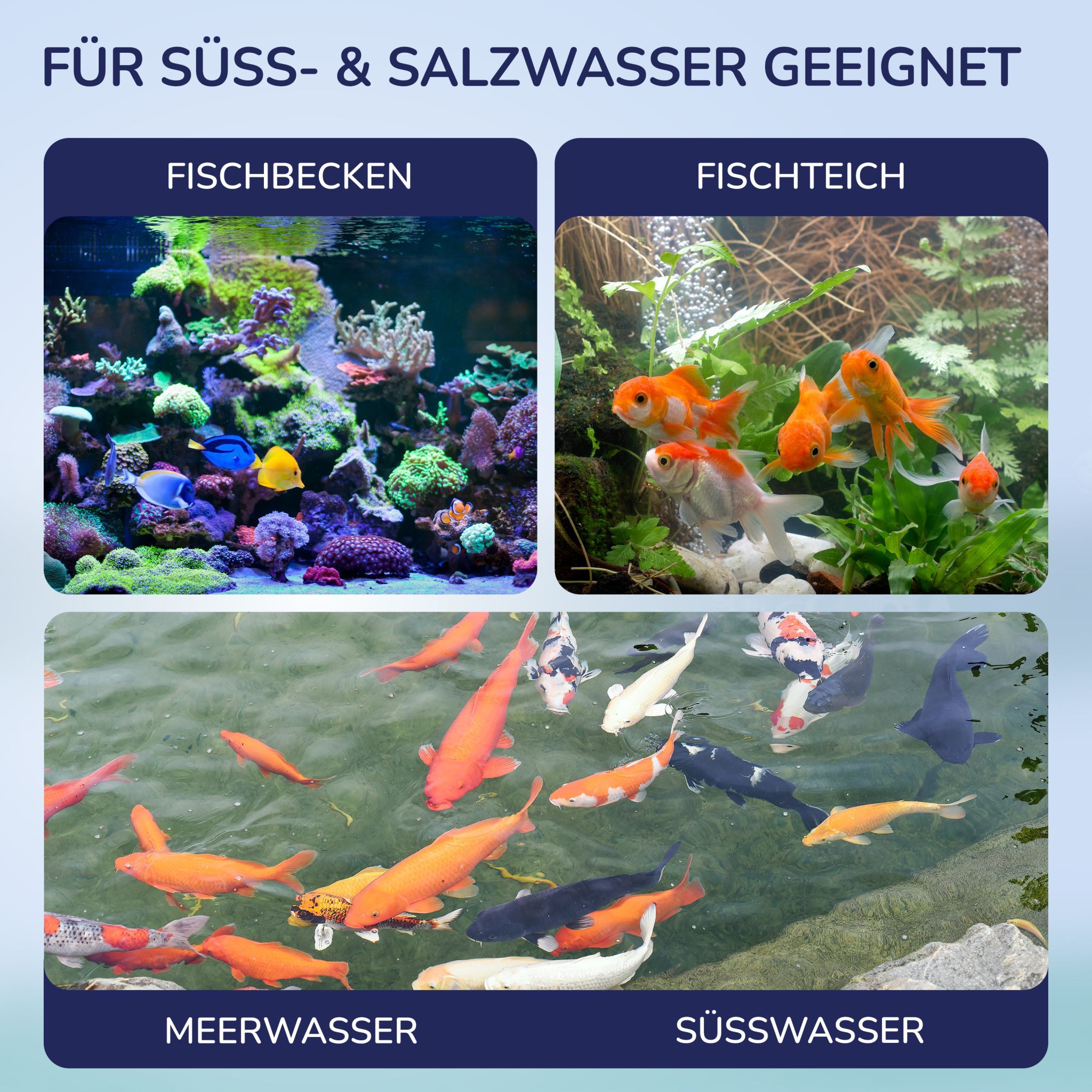 Zwei Bilder: Fischbecken und Fischteich. Meerwasser und Süßwasser. Text: Für Süß- & Salzwasser geeignet.