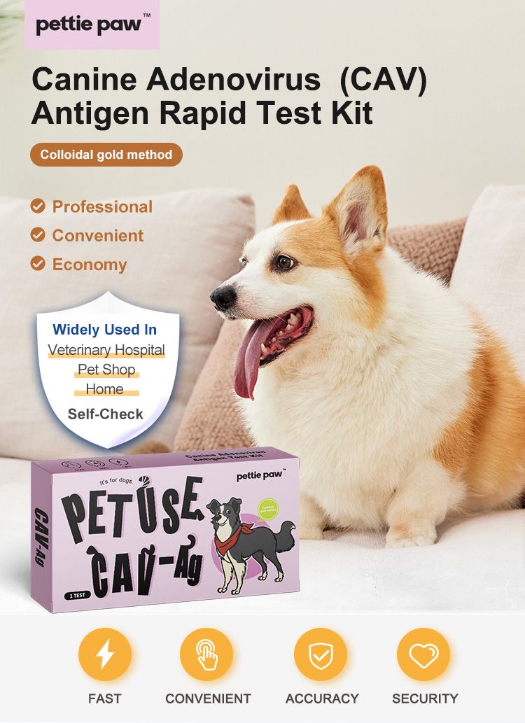 Verpackung von 'pette paw' mit 'Canine Adenovirus (CAV) Antigen Rapid Test Kit'. Hund sitzt neben der Verpackung.