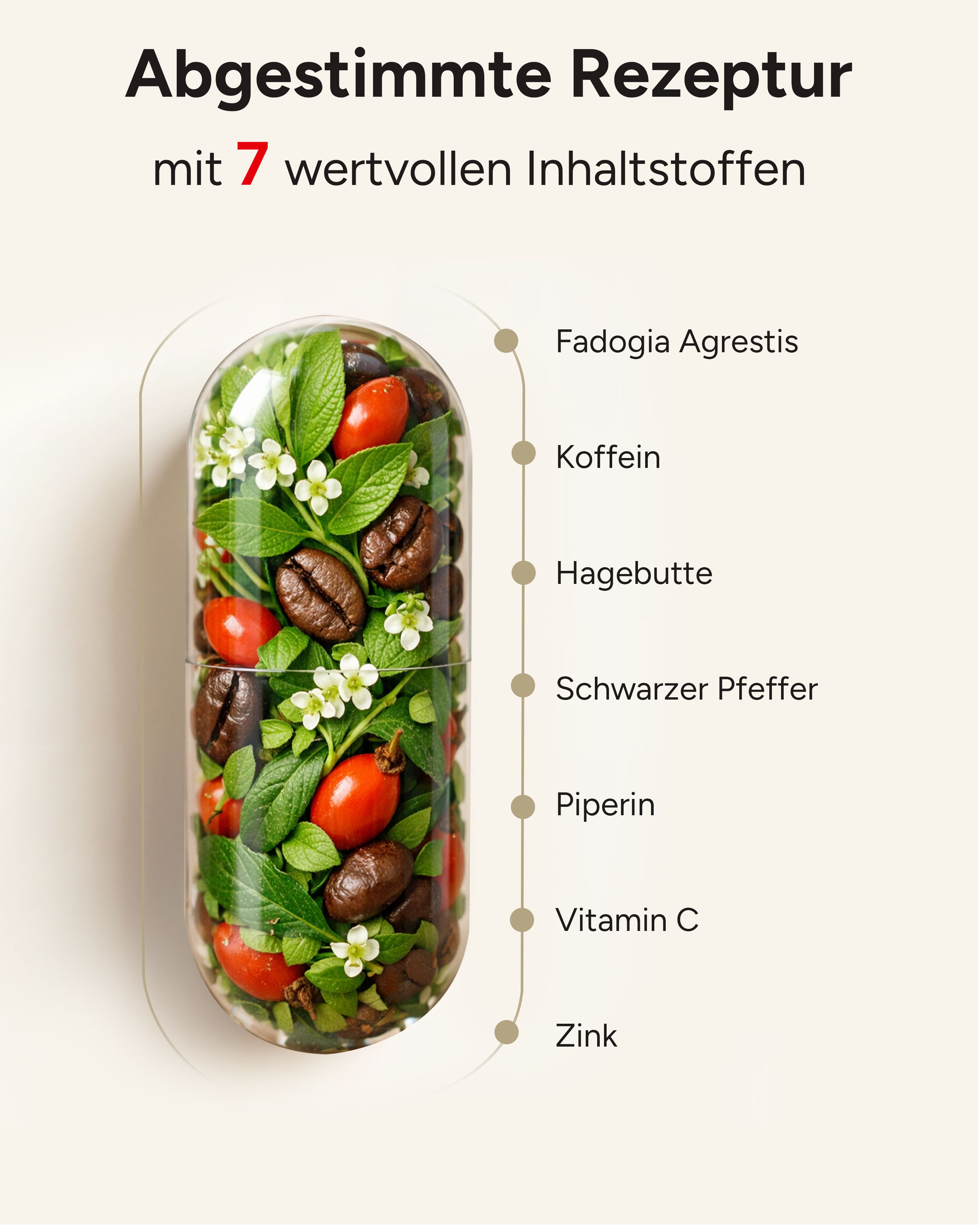 plantomol® Fadogia Agrestis Extrakt Kapseln 50:1 - mit Koffein, Vitamin C aus Hagebutte & Zink