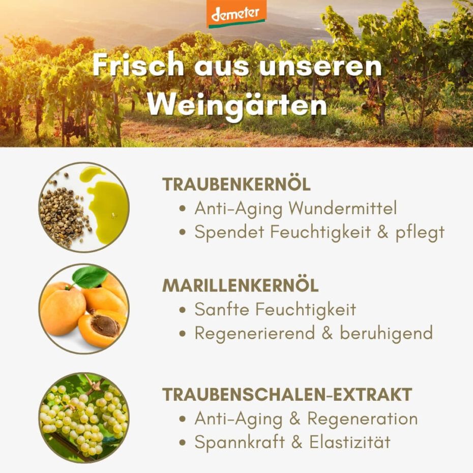 Text mit Traubenkernöl, Marillenkernöl und Traubenschalen-Extrakt. Demeter-Logo. Hintergrund: Weinberg.