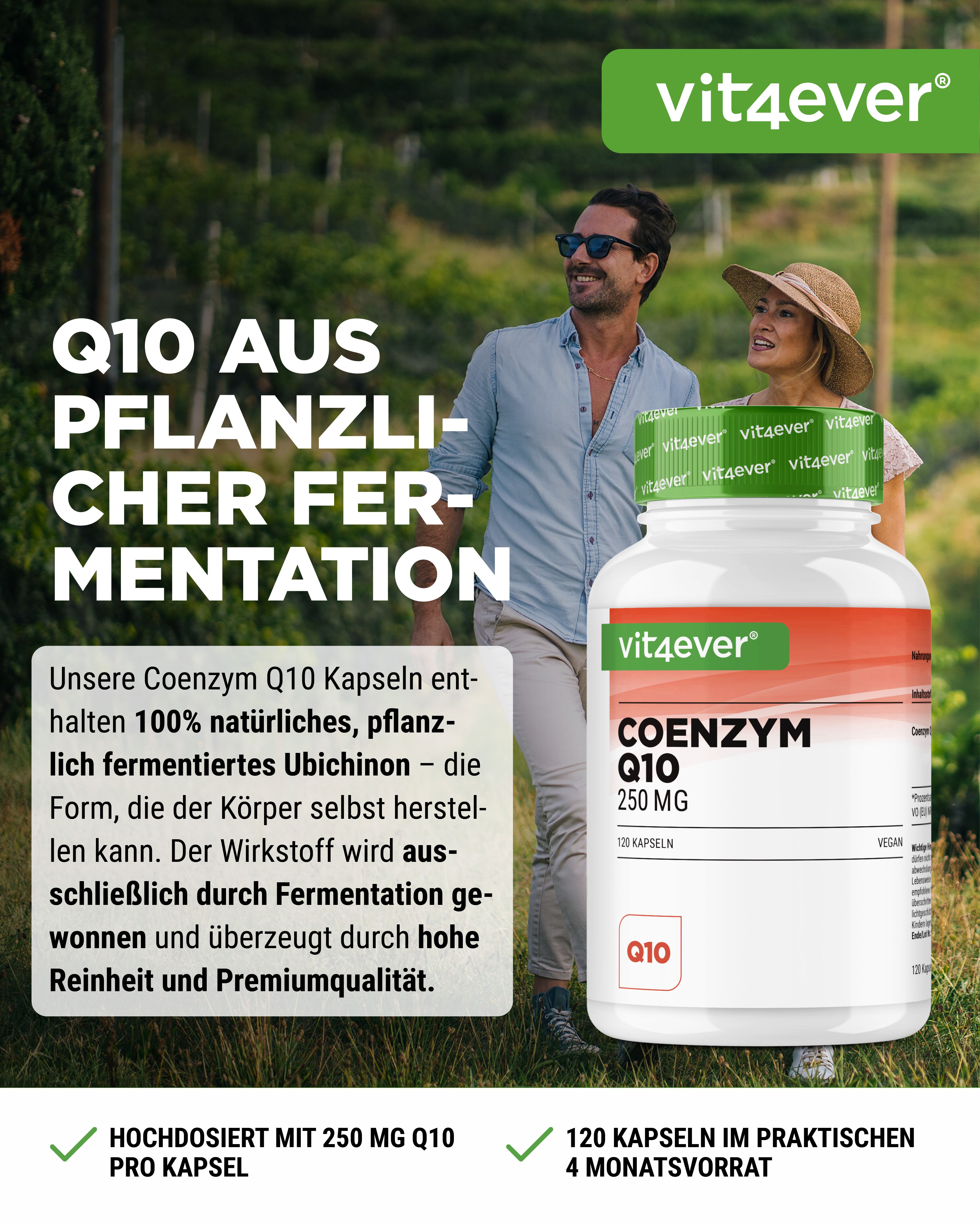 vit4ever Coenzym Q10