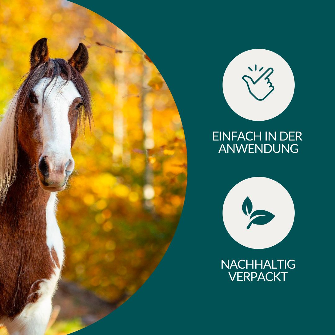Pferd im Herbstlaub, Icons für einfache Anwendung und nachhaltige Verpackung.