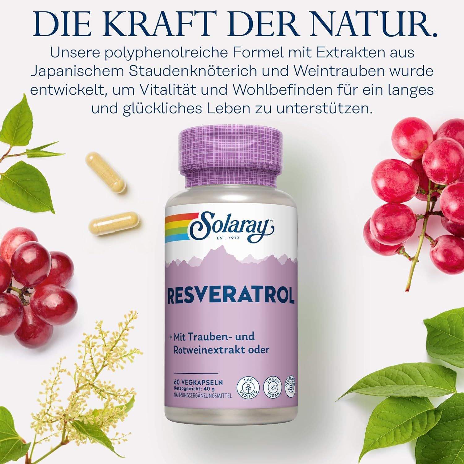Solaray Resveratrol Complex Kapseln
