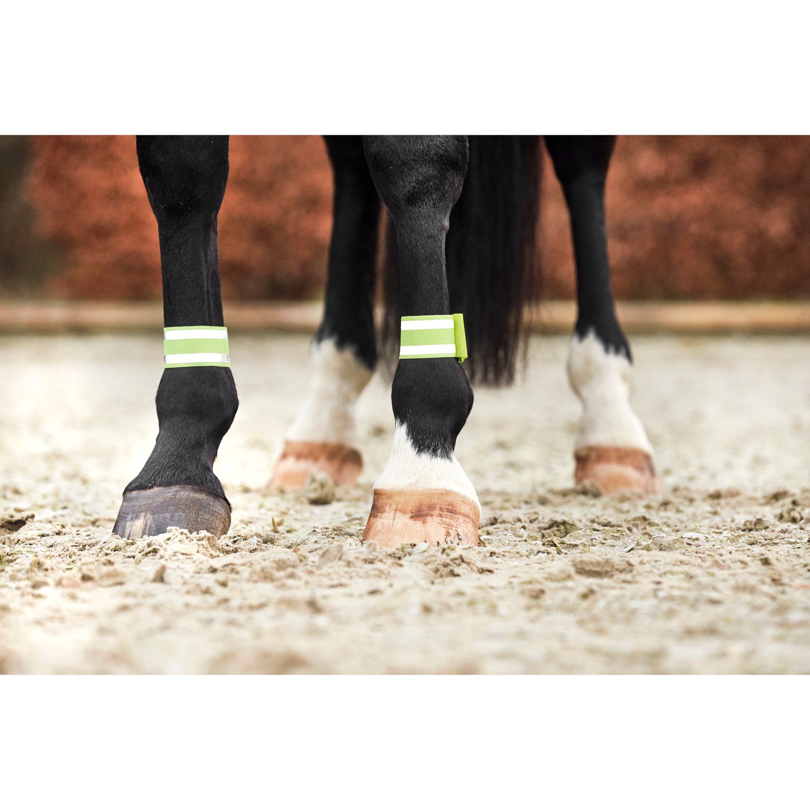 Horse Guard elastisches Reflexband - Sicherheitsband für Pferde 2 St