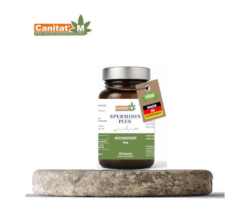 Braune Glasflasche mit Kapseln. Etikett: Spermidin Plus, 6mg, 90 Kapseln. Vegan-Siegel, Made in Germany. Auf Steinplatte.