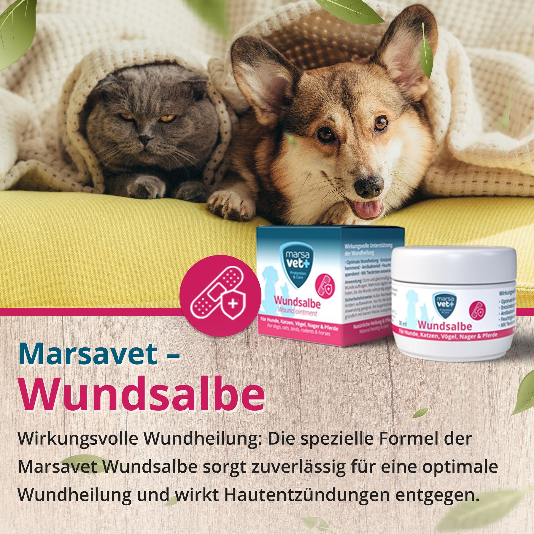 Medilife Eipulver Für Haustiere - 65% Protein, 1 Kg, Für Hunde, Katzen & Mehr
