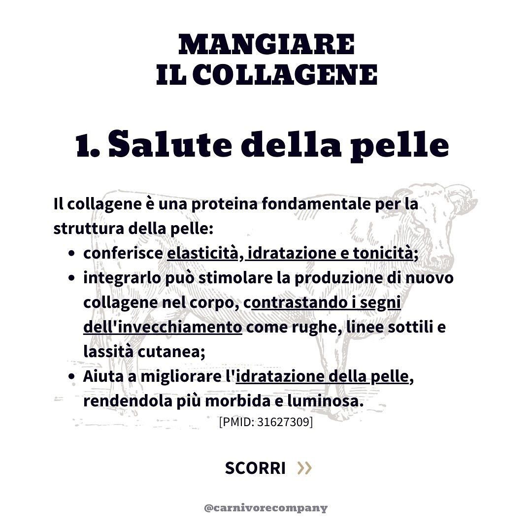 Un testo intitolato "MANGIARE IL COLLAGENE" con il titolo "1. Salute della pelle". Il testo descrive i benefici del collagene per la pelle, tra cui elasticità, idratazione e tonicità. È presente anche un'illustrazione di una mucca.