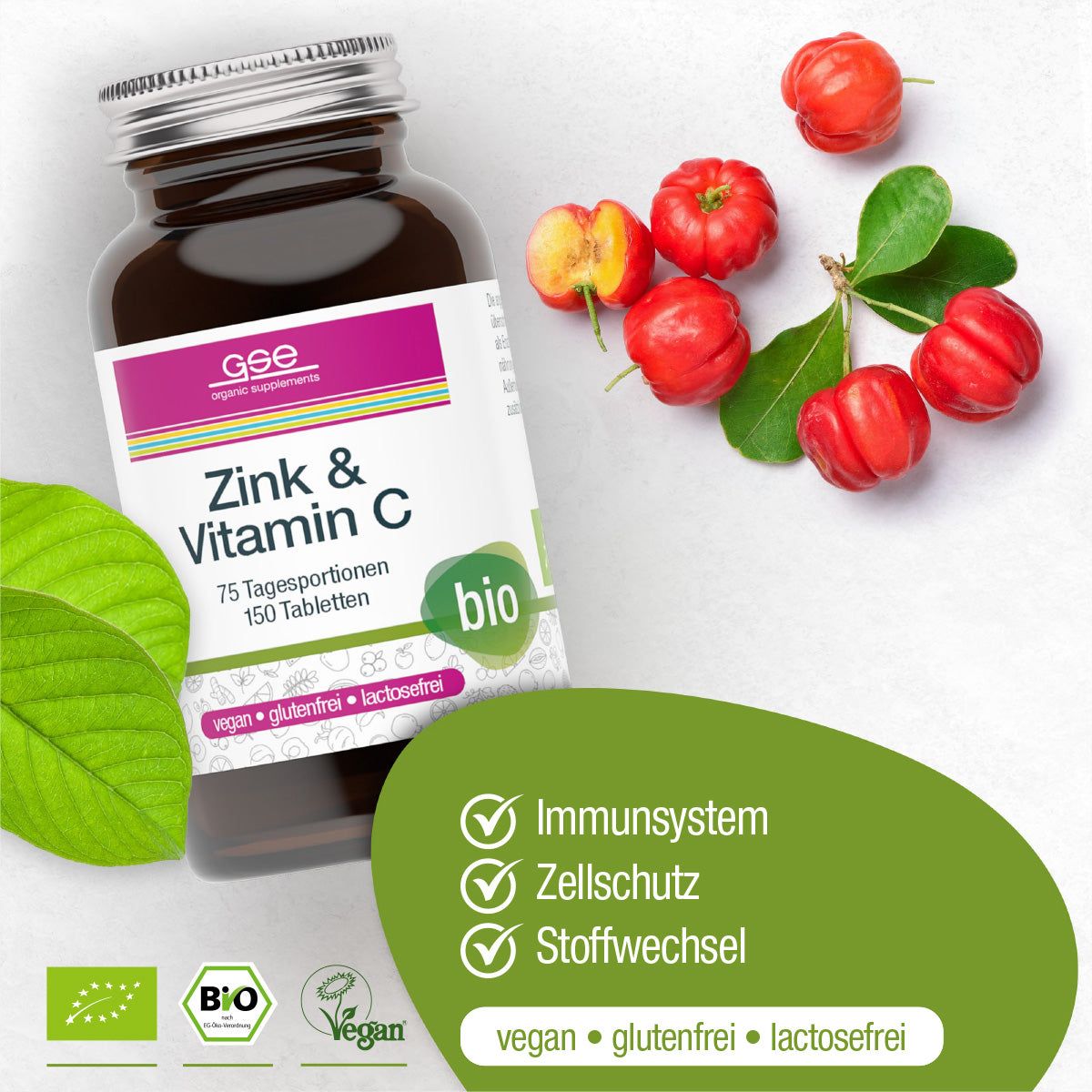 GSE Zink & Vitamin C (Bio)