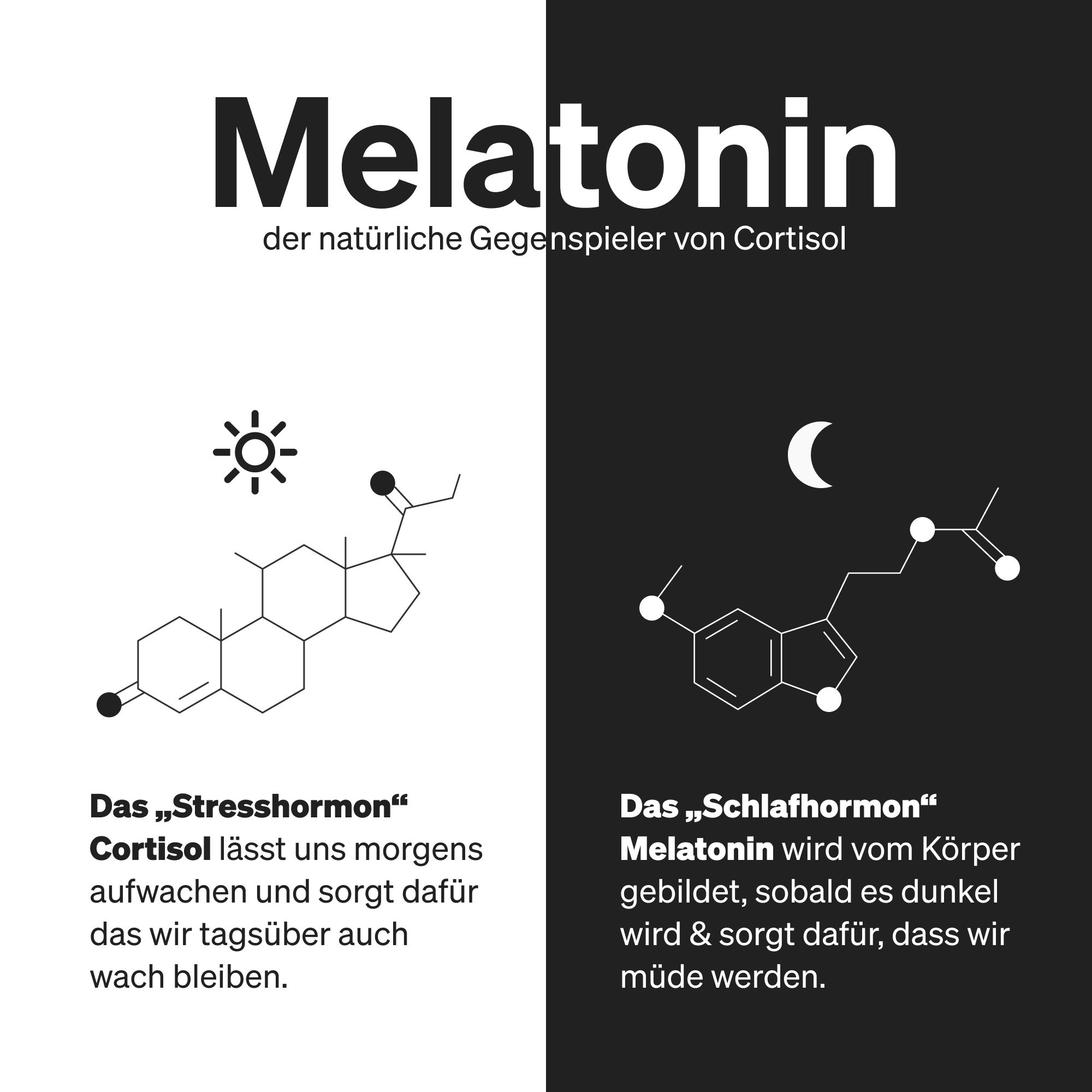 Schwarz-weiße Grafik. Links: Cortisol-Molekül, Sonne. Rechts: Melatonin-Molekül, Mond. Text: Gegenspieler von Cortisol.