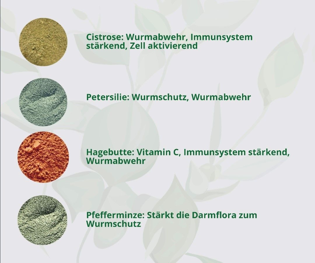 Hand aufs Pferd/Hund Wurm Kräuter Kribbelfrei