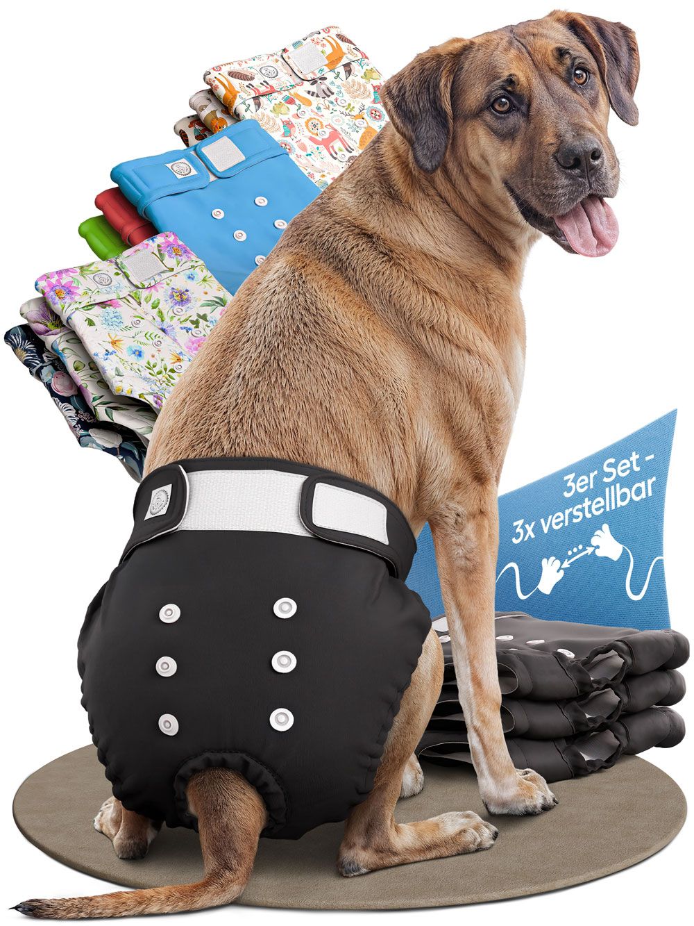 Schwarze Windel für Hündin am Hund. Mehrere Windeln in verschiedenen Farben. 3-fach verstellbar.