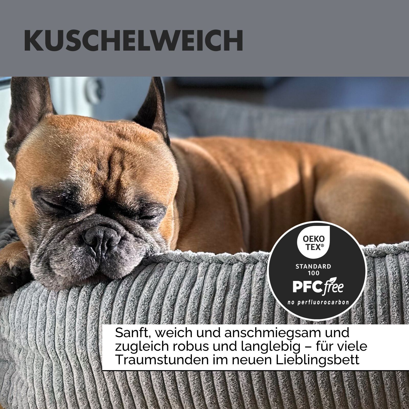 Französische Bulldogge liegt in grauem Hundebett. Text: Kuschelig weich. Logo: Oeko-Tex Standard 100, PFC free.