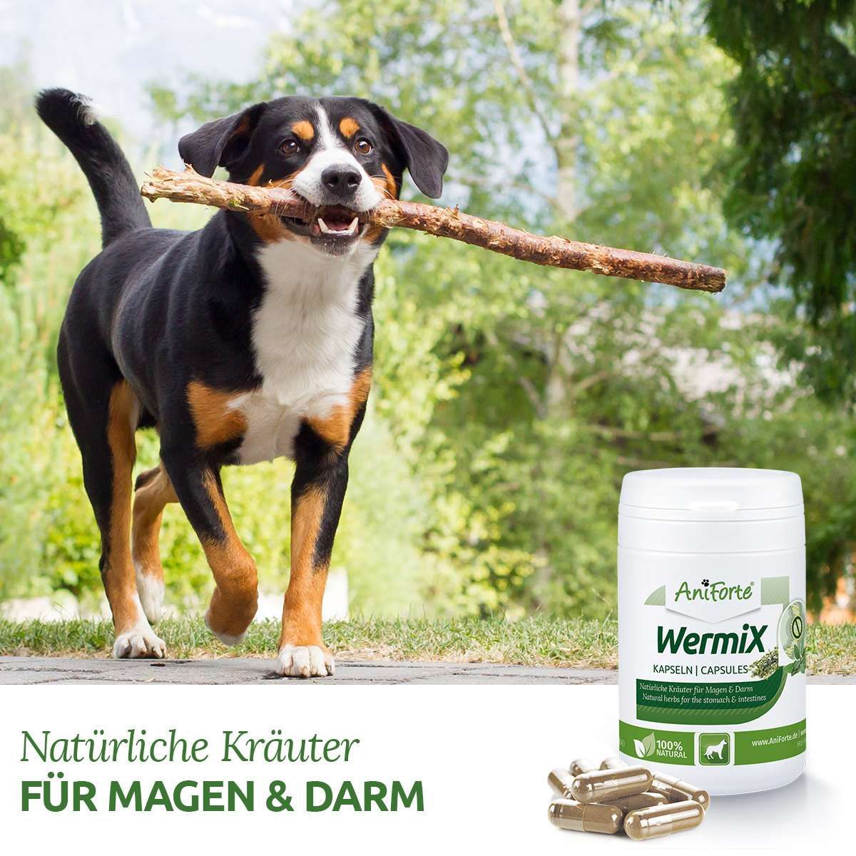 WermiX Kapseln für Hunde-Natürliche Kräuter für Magen und Darm - AniForte®