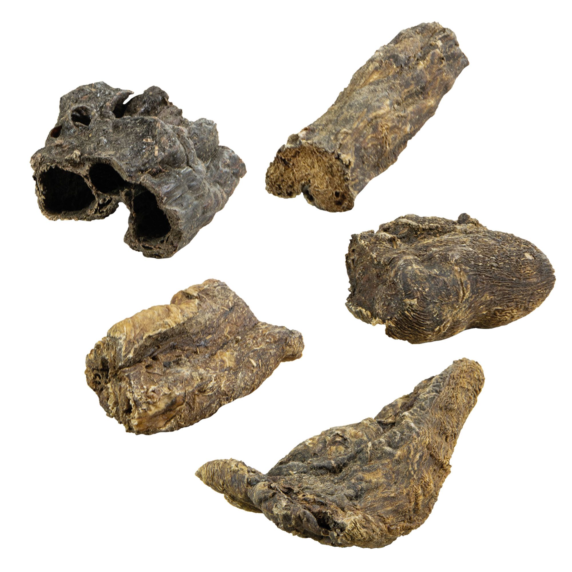 Getrocknete Rinderlunge, unregelmäßig geformt, braun und dunkelbraun. Mehrere Stücke liegen auf weißem Hintergrund.