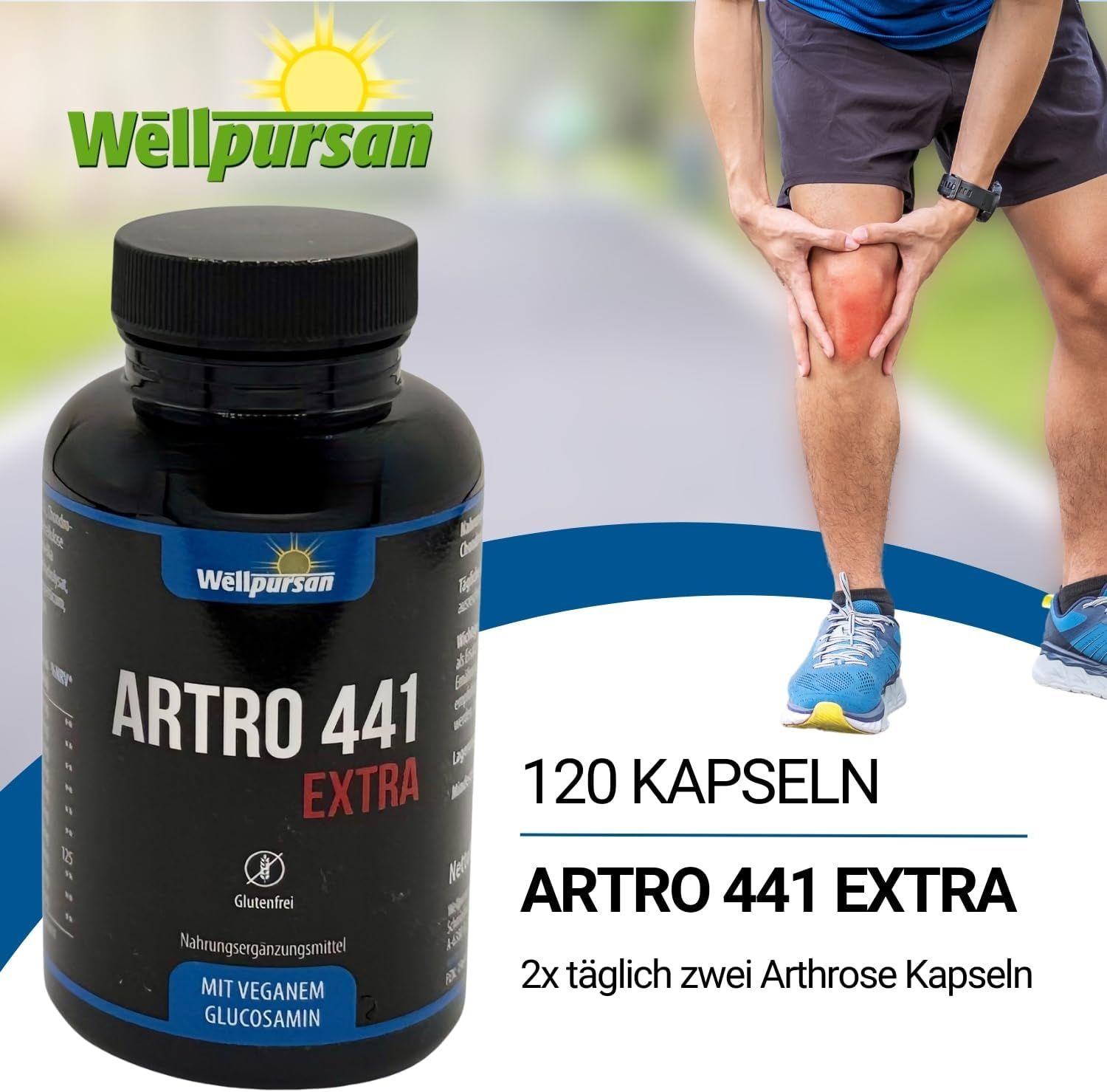 Wellpursan Artro 441 Extra