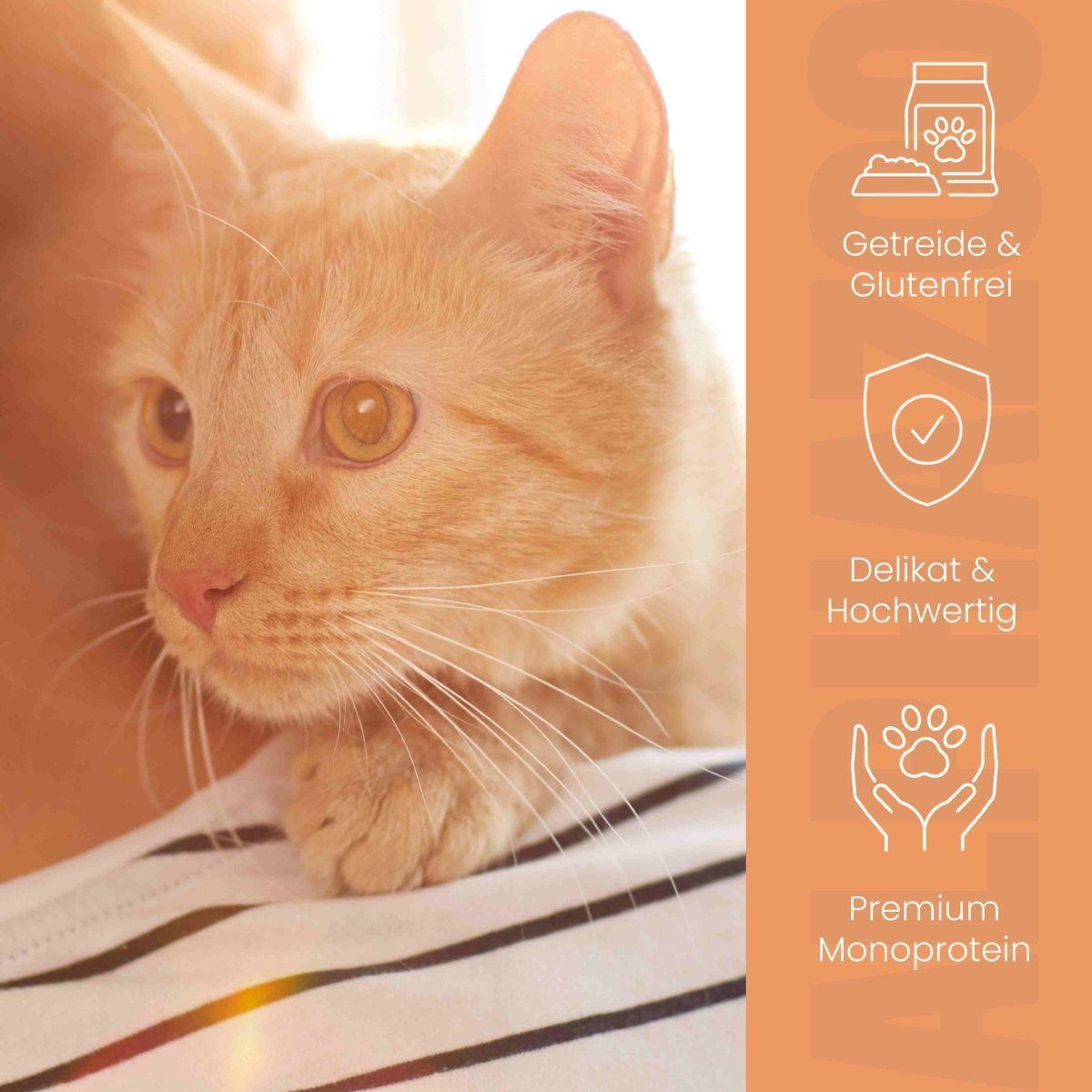 alphazoo Lachs + Huhn Nassfutter für Katze