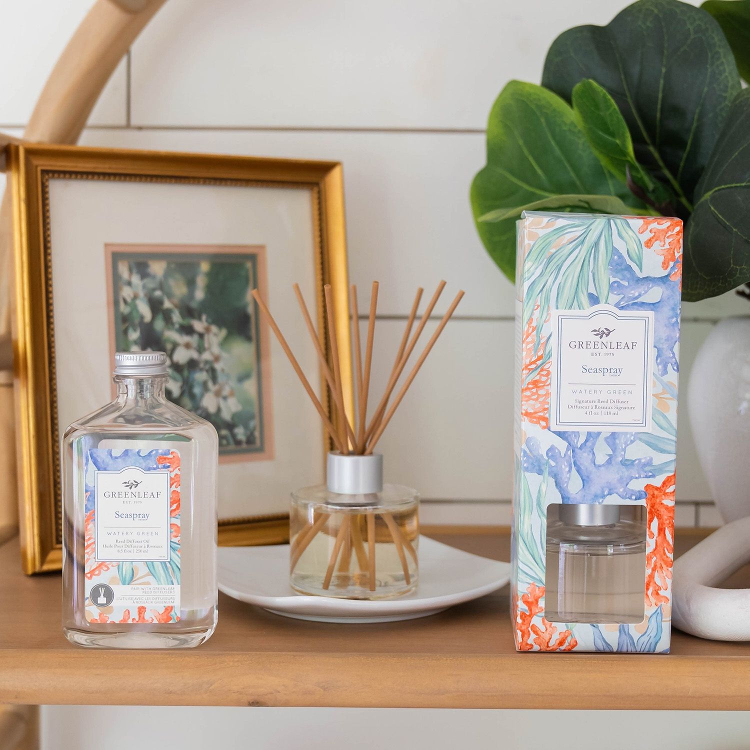 Greenleaf Seaspray Reed Diffuser auf einem Regal neben einem gerahmten Bild und einer Pflanze.