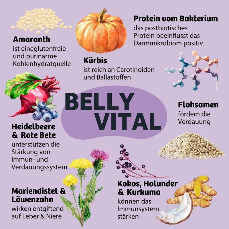 BugBell Weiche Hundeleckeri BellyVital  - Verdauung & Darmflora